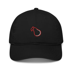 Organic dad hat 2 colors