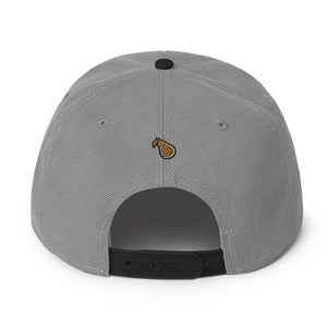 Top Cat Snapback Hat 11 colors