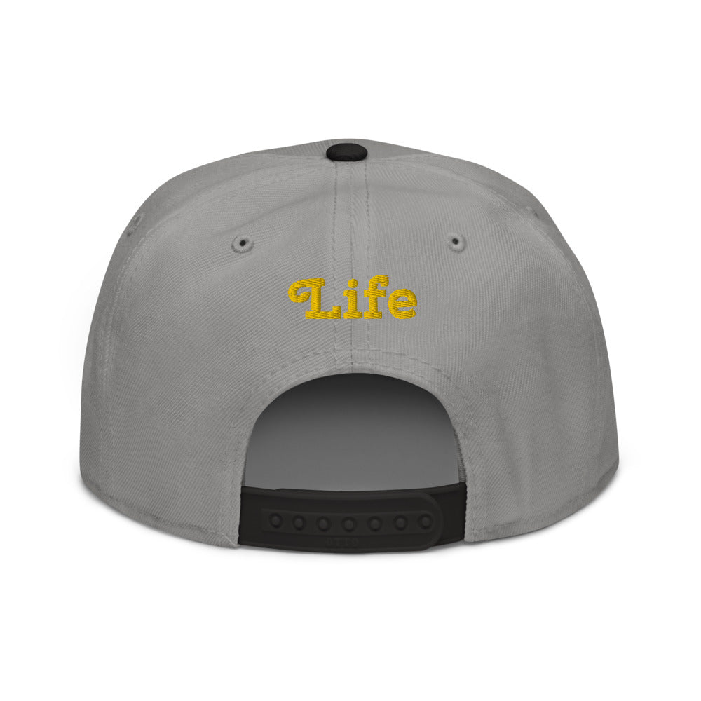 Snapback Hat     9 colors