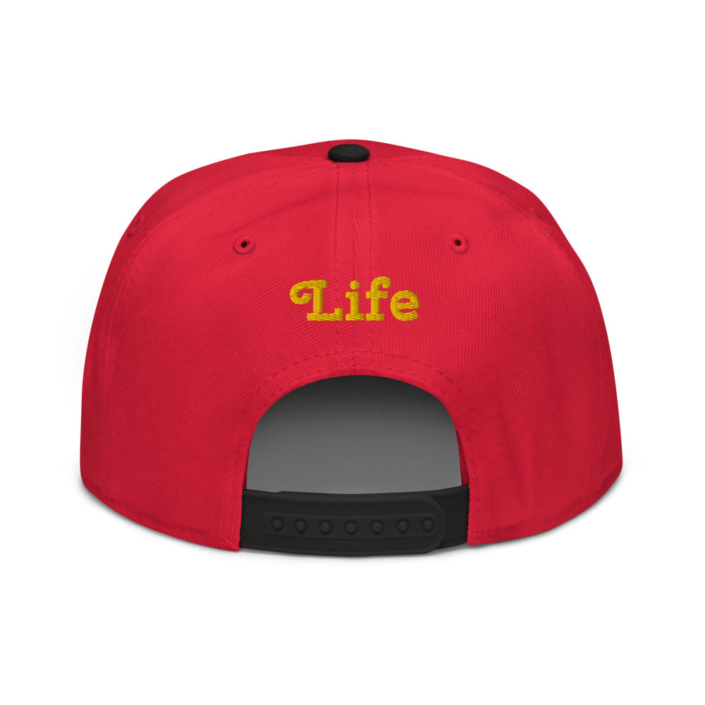 Snapback Hat     9 colors