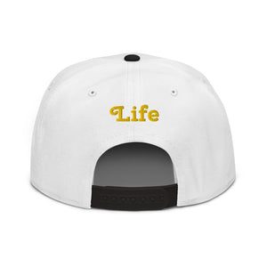 Snapback Hat     9 colors