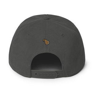 Top Cat Snapback Hat 11 colors