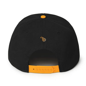 Top Cat Snapback Hat 11 colors