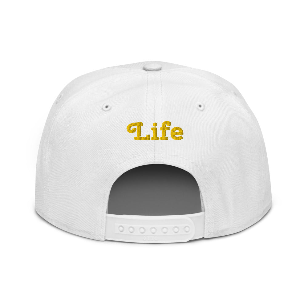 Snapback Hat     9 colors