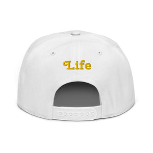 Snapback Hat     9 colors