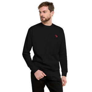 Fleece Pullover 5 colors