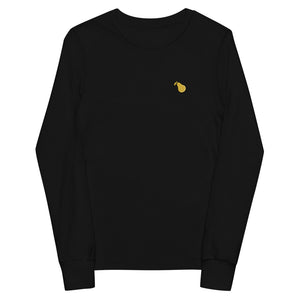 Youth long sleeve tee 4 colors